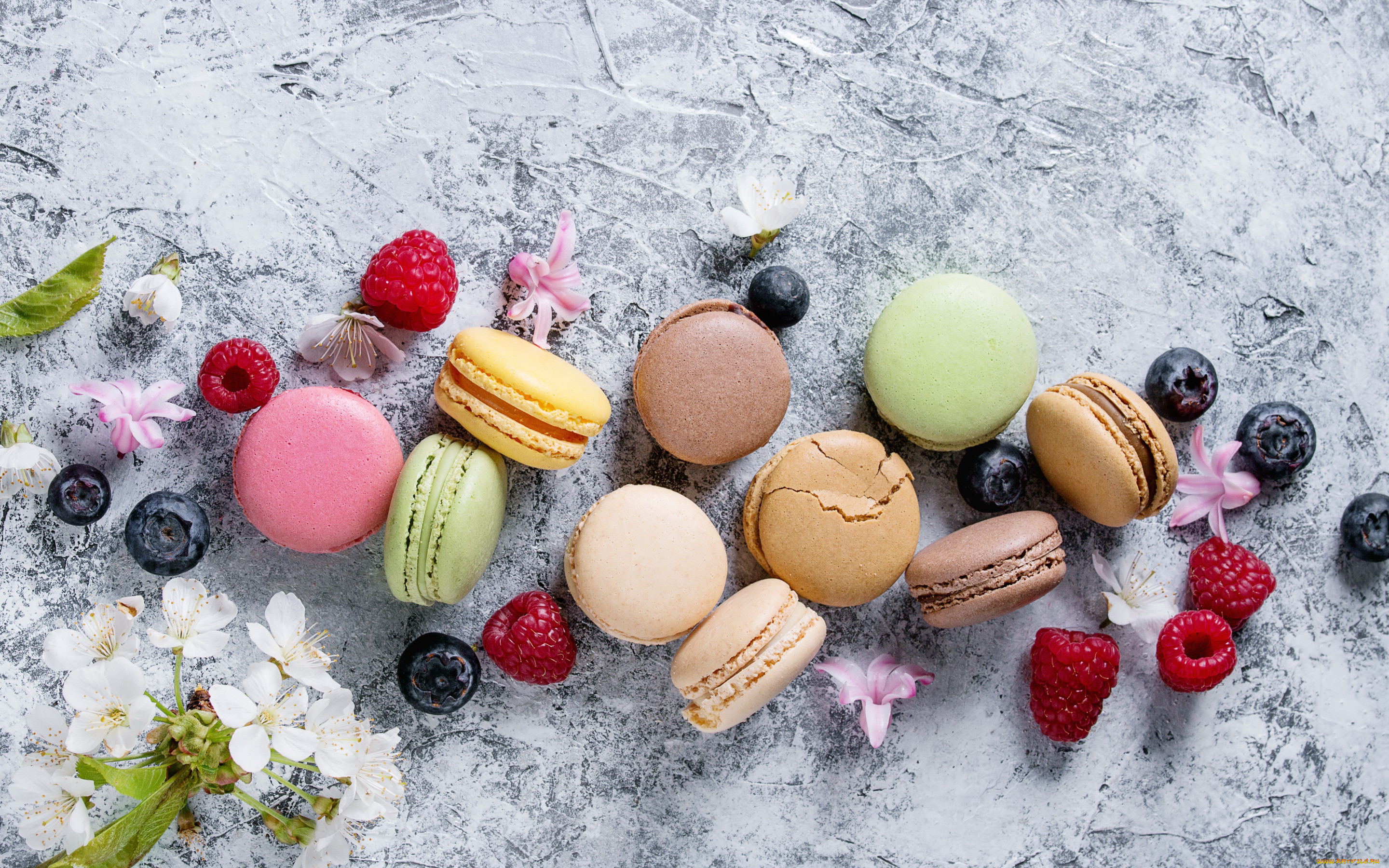 , , , colorful, flowers, fruit, berries, macaroons, macaron